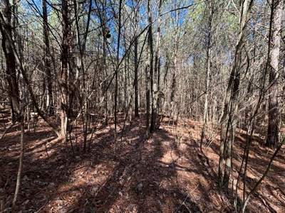Land For Sale in Sequatchie County! - image 14