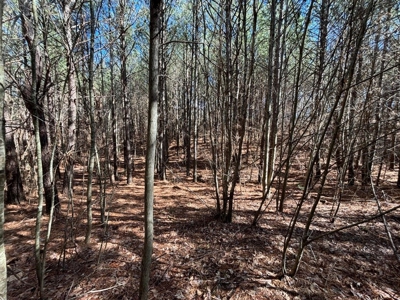 Land For Sale in Sequatchie County! - image 13