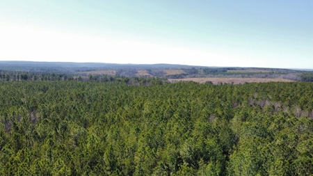 Land For Sale in Sequatchie County! - image 3