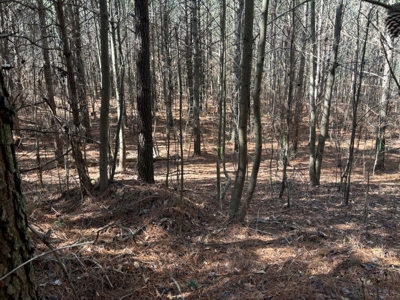 Land For Sale in Sequatchie County! - image 18