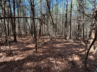 Land For Sale in Sequatchie County! - image 15