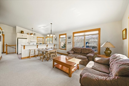 Multi-Use Commercial Real Estate in Ridgway, Colorado - image 13