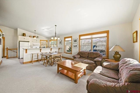 Multi-use commercial real estate in Ridgway, Colorado - image 31