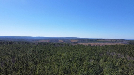 Land For Sale in Sequatchie County - image 15