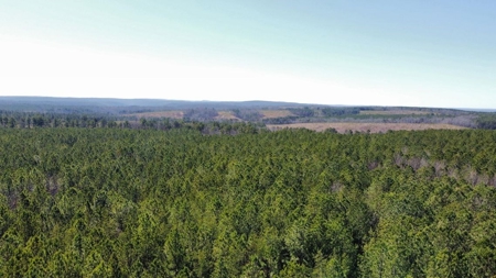 Land For Sale in Sequatchie County - image 14