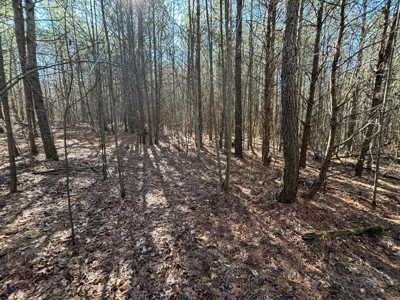 Land For Sale in Sequatchie County - image 16