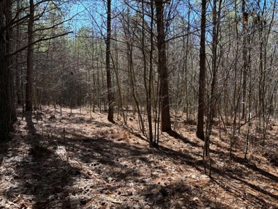 Land For Sale in Sequatchie County - image 8