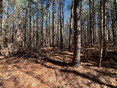 Land For Sale in Sequatchie County - image 13