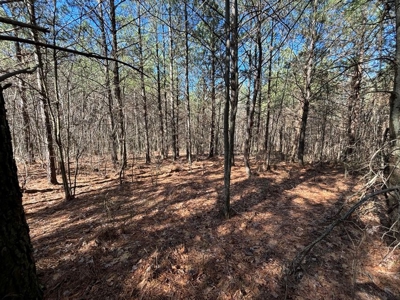 Land For Sale in Sequatchie County - image 17