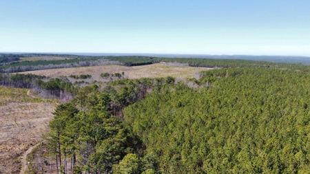 Land For Sale in Sequatchie County - image 12