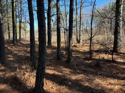 Land For Sale in Sequatchie County - image 1