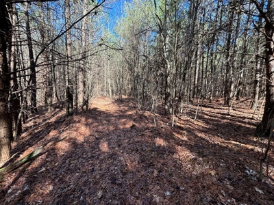 Land For Sale in Sequatchie County - image 19
