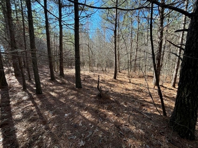Land For Sale in Sequatchie County - image 18