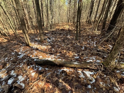 Land For Sale in Sequatchie County - image 11