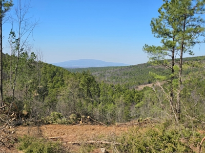 Southeast Oklahoma Timberland Property For Sale - image 12
