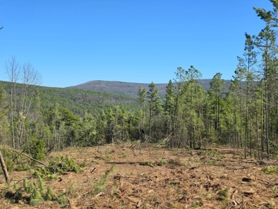 Southeast Oklahoma Timberland Property For Sale - image 11