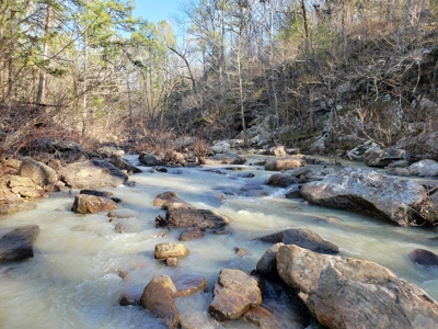 Southeast Oklahoma Timberland Property For Sale - image 19
