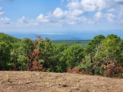 Southeast Oklahoma Timberland Property For Sale - image 30