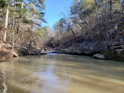 Southeast Oklahoma Timberland Property For Sale - image 18