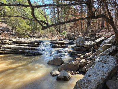 Southeast Oklahoma Timberland Property For Sale - image 8