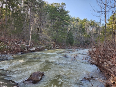 Southeast Oklahoma Timberland Property For Sale - image 23