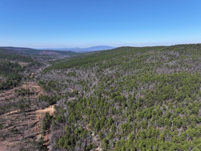 Southeast Oklahoma Timberland Property For Sale - image 2