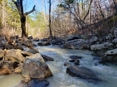 Southeast Oklahoma Timberland Property For Sale - image 20