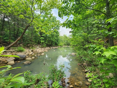 Southeast Oklahoma Timberland Property For Sale - image 25