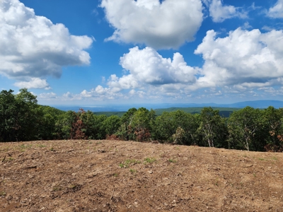 Southeast Oklahoma Timberland Property For Sale - image 29