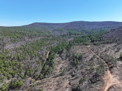 Southeast Oklahoma Timberland Property For Sale - image 4