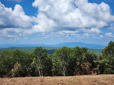 Southeast Oklahoma Timberland Property For Sale - image 28