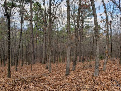Southeast Oklahoma Timberland Property For Sale - image 16