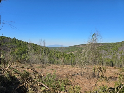 Southeast Oklahoma Timberland Property For Sale - image 10