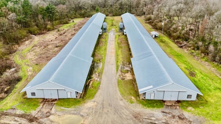 Poultry Farm on 28 Acres with Home in Choudrant, Louisiana - image 7