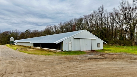 Poultry Farm on 28 Acres with Home in Choudrant, Louisiana - image 8