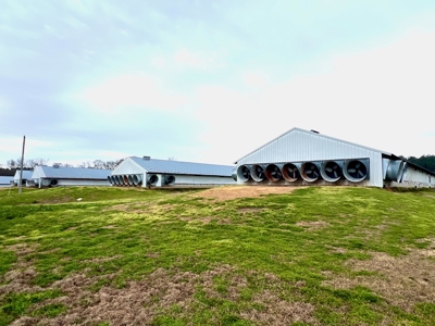 Poultry Farm on 28 Acres with Home in Choudrant, Louisiana - image 15