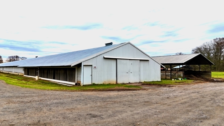 Poultry Farm on 28 Acres with Home in Choudrant, Louisiana - image 13