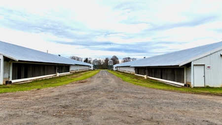 Poultry Farm on 28 Acres with Home in Choudrant, Louisiana - image 12