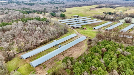 Poultry Farm on 28 Acres with Home in Choudrant, Louisiana - image 3