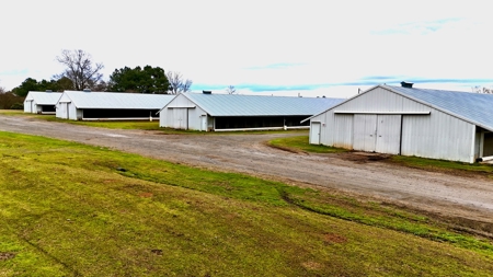 Poultry Farm on 28 Acres with Home in Choudrant, Louisiana - image 14