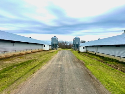 Poultry Farm on 28 Acres with Home in Choudrant, Louisiana - image 16