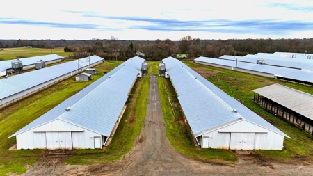 Poultry Farm on 28 Acres with Home in Choudrant, Louisiana - image 5
