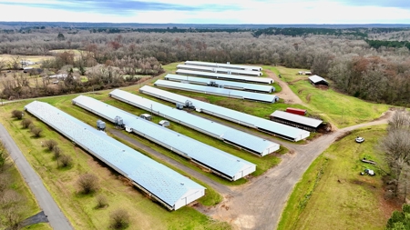 Poultry Farm on 28 Acres with Home in Choudrant, Louisiana - image 4