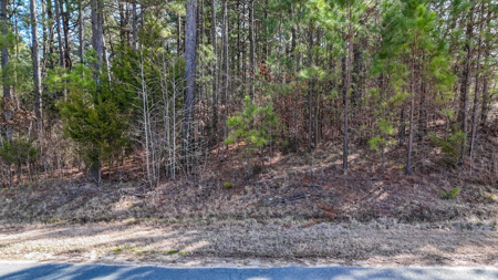 Auction! Rolling Acreage in Cabarrus County NC - image 13
