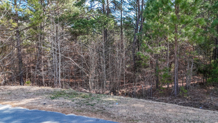 Auction! Rolling Acreage in Cabarrus County NC - image 14