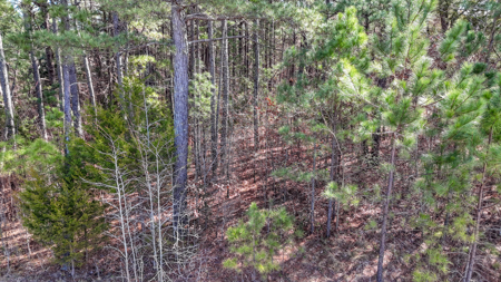 Auction! Rolling Acreage in Cabarrus County NC - image 12