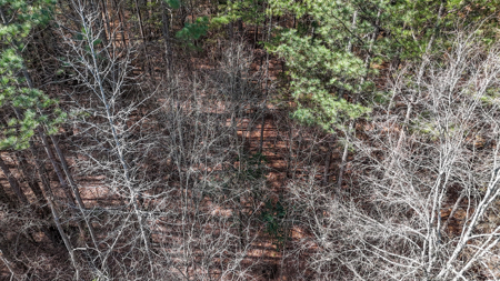 Auction! Rolling Acreage in Cabarrus County NC - image 11