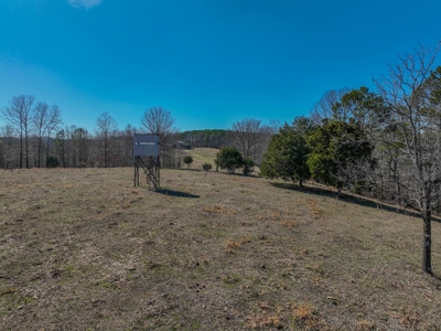 Secluded Cabin For Sale With Shop & Barn Deer & Turkey Hunt - image 28