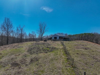 Secluded Cabin For Sale With Shop & Barn Deer & Turkey Hunt - image 31