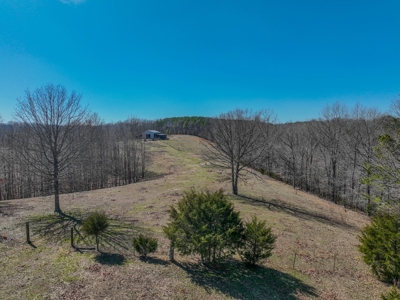 Secluded Cabin For Sale With Shop & Barn Deer & Turkey Hunt - image 29